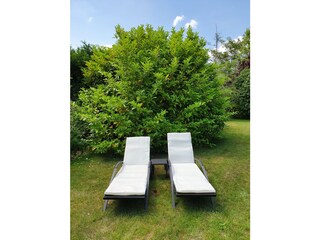 Casa de vacaciones Ouddorp Grabación al aire libre 3
