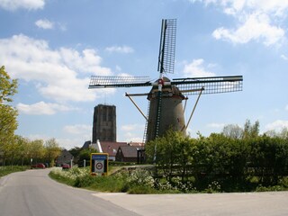 Vakantiehuis Ouddorp Omgeving 36