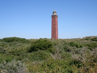 Vakantiehuis Ouddorp Omgeving 32