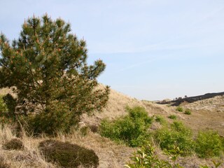 Vakantieappartement Bergen aan Zee Omgeving 20