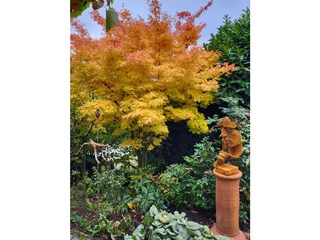 Der Flüsterer im Garten