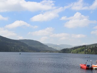 Apartamento de vacaciones Titisee-Neustadt Entorno 9