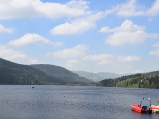 Appartement de vacances Titisee-Neustadt Environnement 9