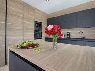 Villa Šišan Caratteristiche 16