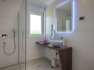 Villa Šišan Caratteristiche 23