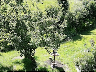 Aussicht Balkon