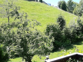 Ferienwohnung Scheidegg Außenaufnahme 3