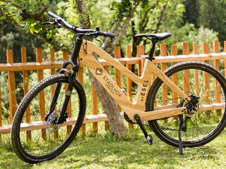 Appartamento per vacanze Maria Alm Ambiente 16