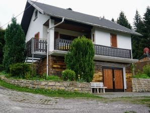 Holiday house Löffelberg 38 - Schleusegrund - image1