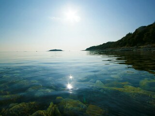 Maison de vacances Žminj Environnement 29