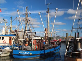 Ferienwohnung Norddeich  19