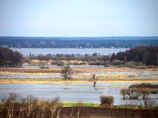 Wenn der Schnee geht und das Wasser kommt