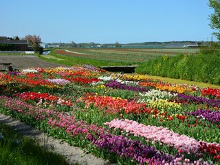 Bungalow Welt Omgeving 34