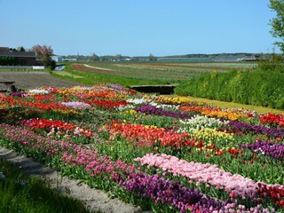 Bungalow Welt Environnement 20