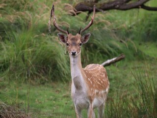 Bungaló Welt Entorno 35
