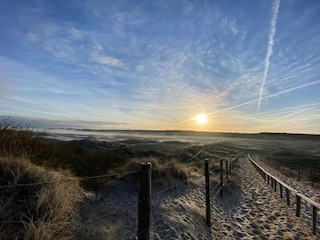 Bungalow Welt Environnement 31