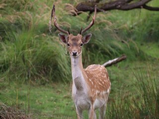 Bungaló Welt Entorno 32