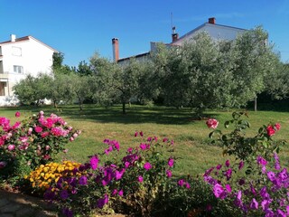 Appartamento Medulin Registrazione all'aperto 7