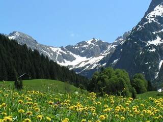 Vakantiehuis Mittelberg  17