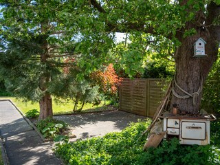 Ferienhaus Kellenhusen Ausstattung 19