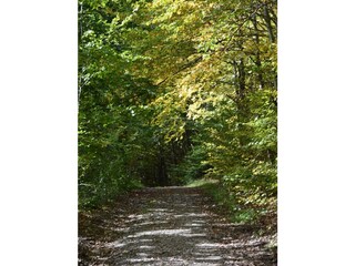 Wanderweg von Winkhausen nach Niedersorpe