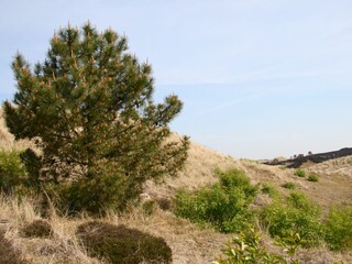 Casa per le vacanze Bergen (Holland) Ambiente 21