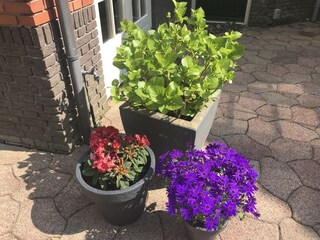 Casa per le vacanze Bergen (Holland) Registrazione all'aperto 3