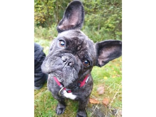 Und in Schmidts Huus dürfen wir auch :-)