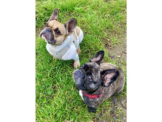 Wir dürfen im eingezäunten Garten toben!