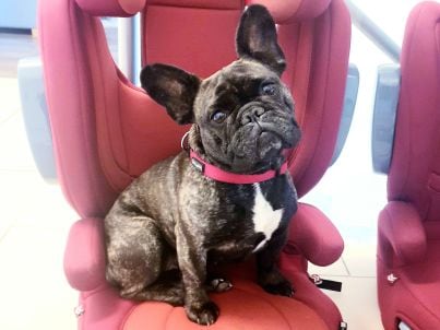 Familie Sonja Schmidt