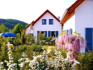 Casa de vacaciones Losheim am See Grabación al aire libre 1