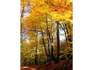 Casa per le vacanze Losheim am See Ambiente 17