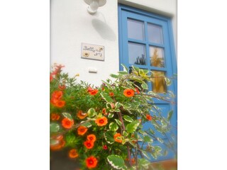 Casa per le vacanze Losheim am See Registrazione all'aperto 6