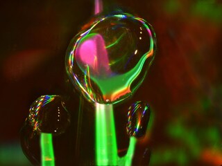 Casa per le vacanze Losheim am See Ambiente 22