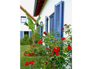 Casa per le vacanze Losheim am See Registrazione all'aperto 3