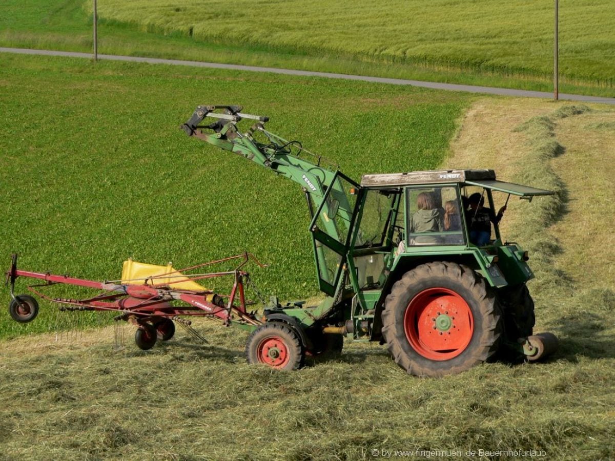 Am Traktor mitfahren - Heu machen