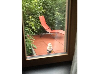 Casa per le vacanze Kall Ambiente 23