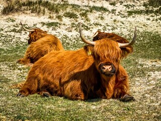 Appartamento per vacanze Egmond aan Zee Registrazione all'aperto 6