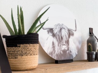 Appartamento per vacanze Egmond aan Zee Caratteristiche 13