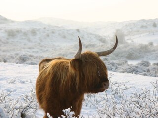 Appartamento per vacanze Egmond aan Zee Ambiente 29
