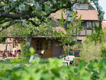 Holiday farmhouse "Sell's Scheune"