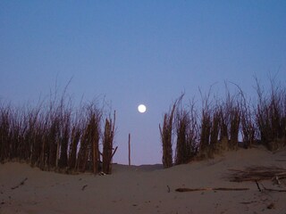 Mondaufgang am Strand