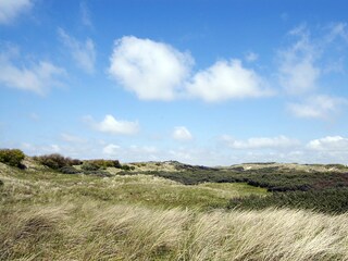 Die Dünen vor dem Strand.