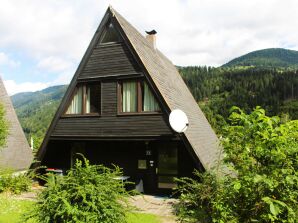 Vakantiehuis Huis aan het meer - Afritz am See - image1