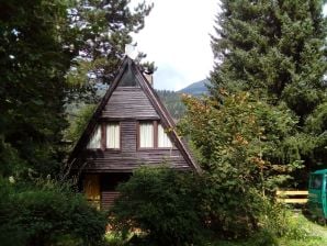 Ferienhaus Haus am See - Afritz am See - image1