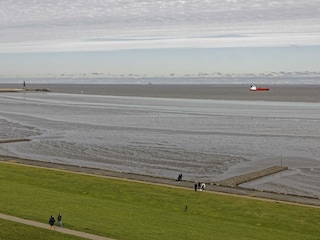 Elbe und Weltschiffahrtsweg