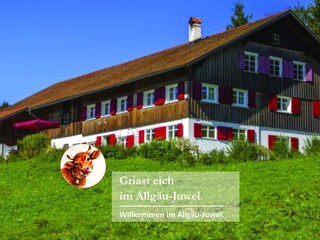 Holiday house Buchenberg Outdoor Recording 2