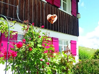 Holiday house Buchenberg Outdoor Recording 3