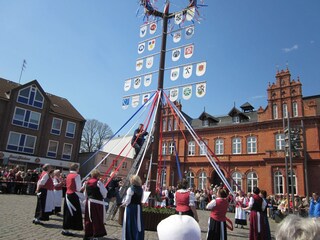 Maibaum aufstellen