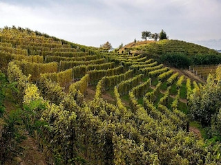 Appartement Casale Monferrato Environnement 23